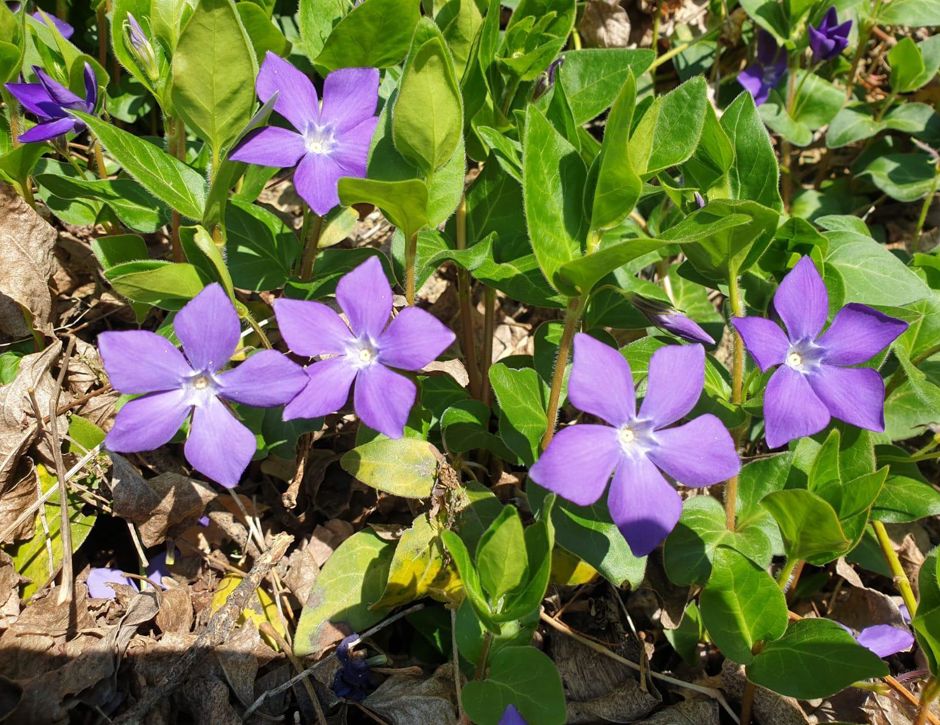 photo-2020-04-08-00-36-34