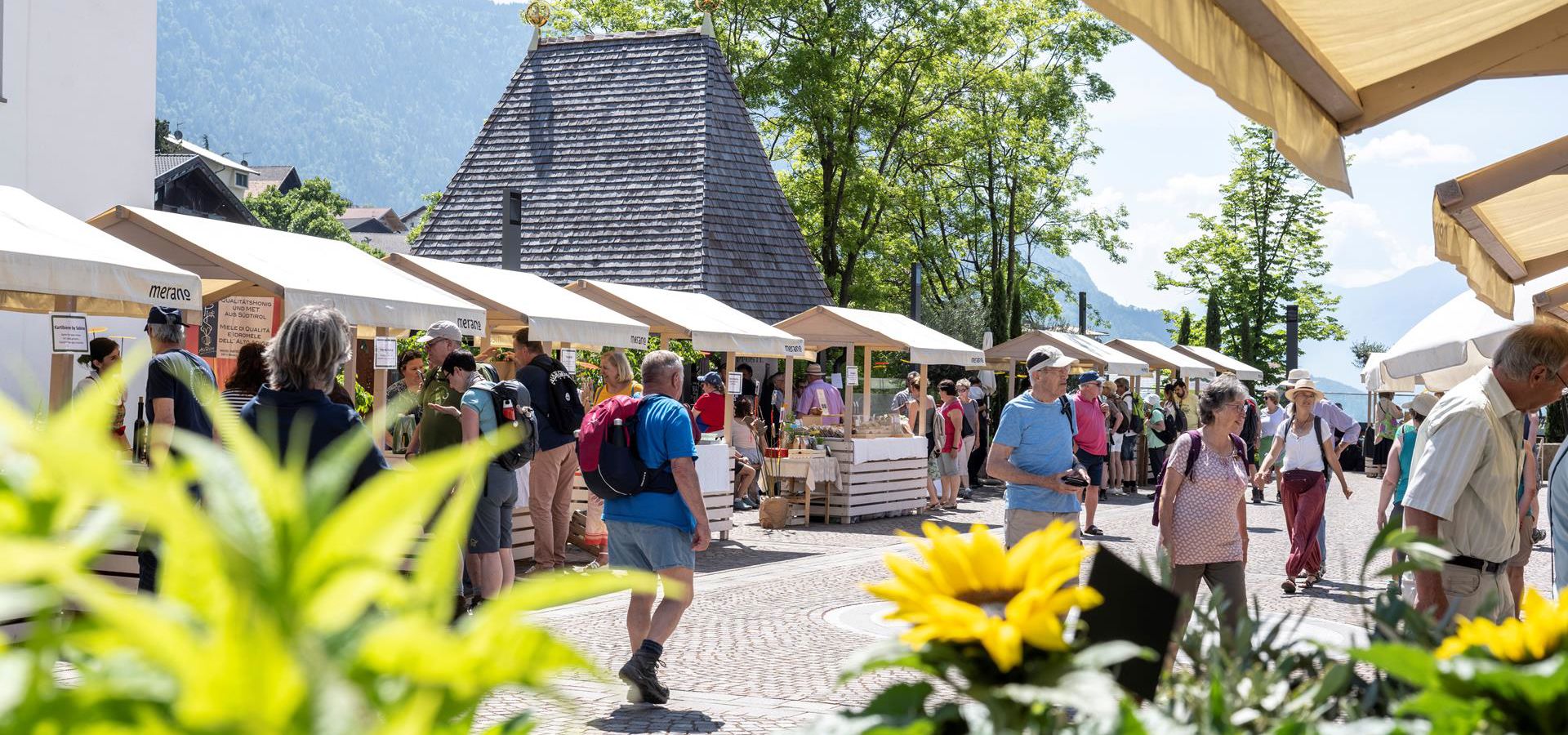 tourismusverein-schenna-helmuth-rier-17